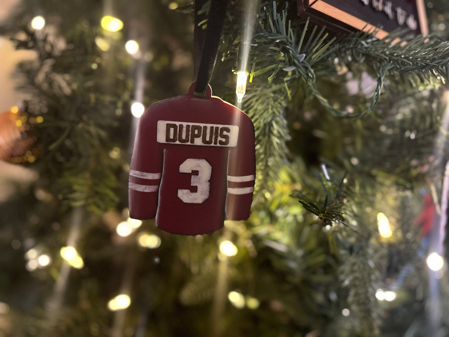 Hand Painted Jerseys featuring clients numbers and last names in the jersey colour of your choice. 