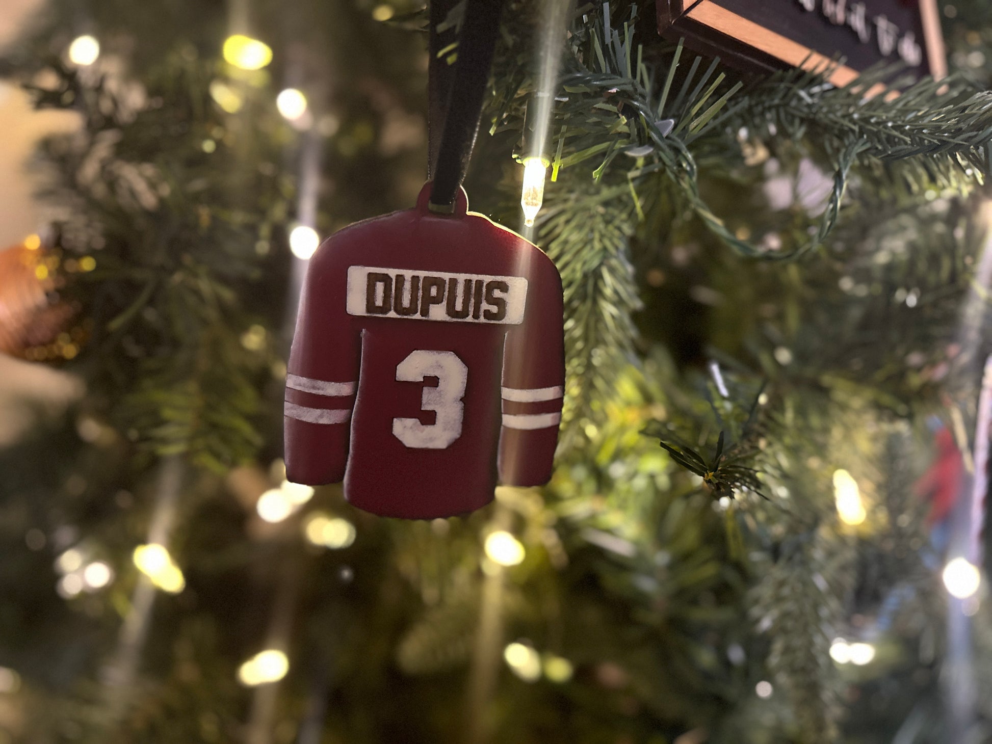 Hand Painted Jerseys featuring clients numbers and last names in the jersey colour of your choice. 